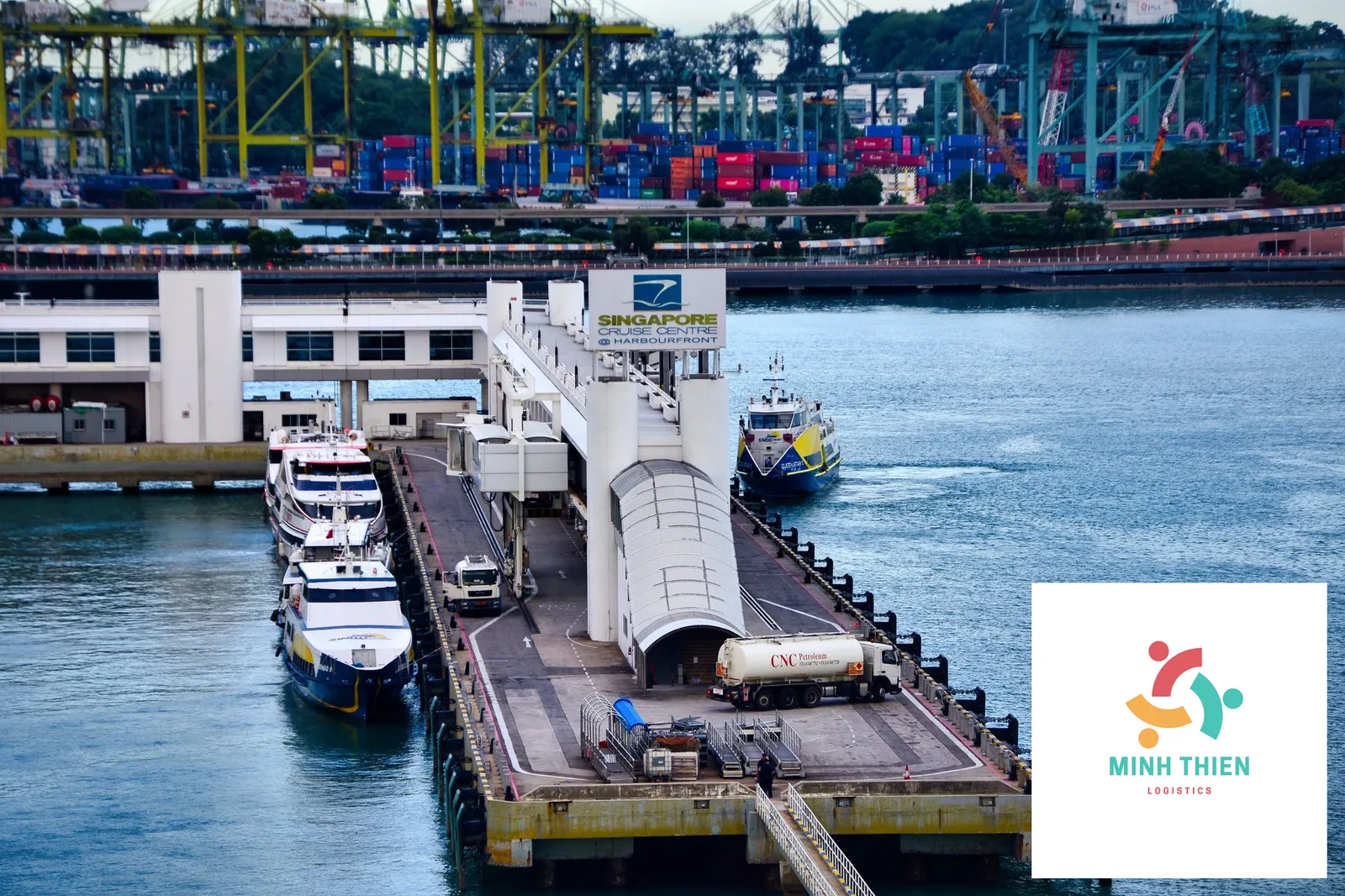 Gửi Thực Phẩm Chức Năng Đi Singapore: Thủ Tục & Thuế