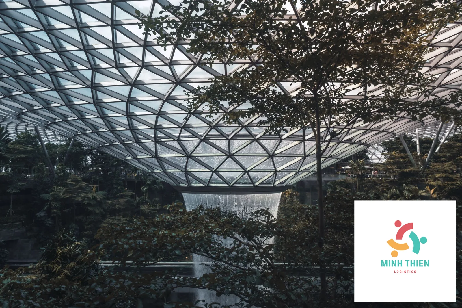 Gửi hàng đi Singapore nhanh nhất: Quy trình hải quan và đóng gói chuẩn