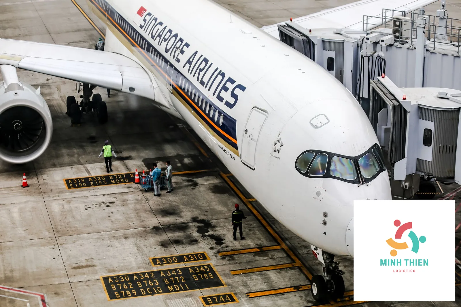 Gửi cà phê đi Singapore: Thủ tục hải quan và bảng giá mới nhất