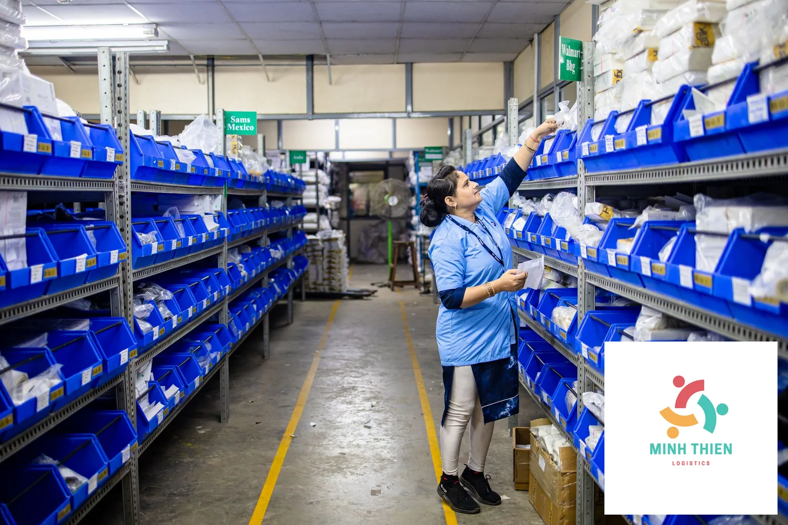 Gửi trà đi Singapore: Thủ tục hải quan, đóng gói và bảng giá mới nhất