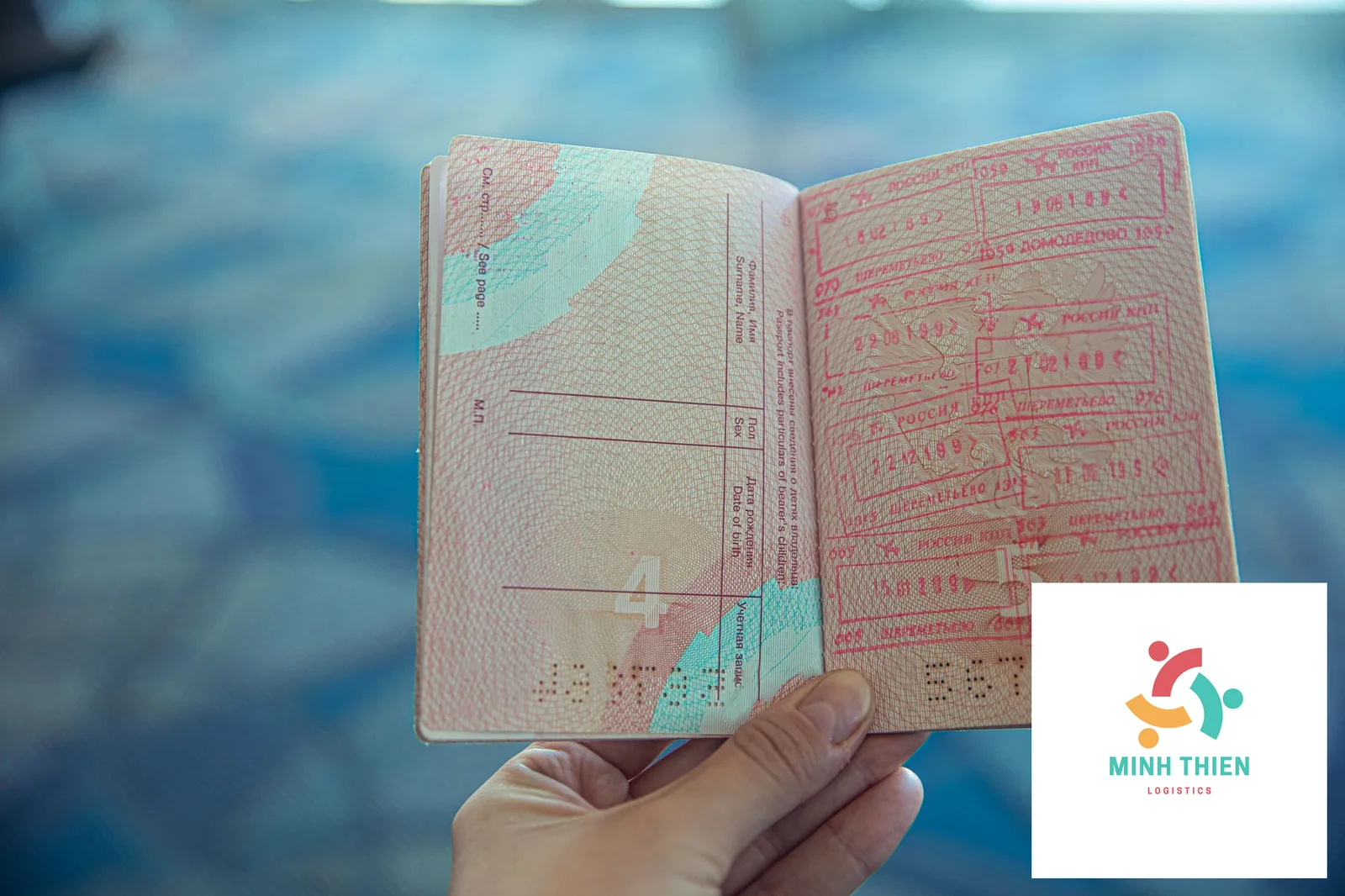 Hướng Dẫn Gửi Trà Đi Úc Không Bị Tiêu Hủy: Thủ Tục Từ Chuyên Gia