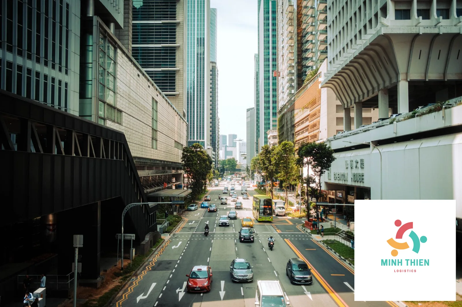 Gửi Thuốc Đi Singapore: Thủ Tục HSA & Cách Khai Hải Quan A-Z